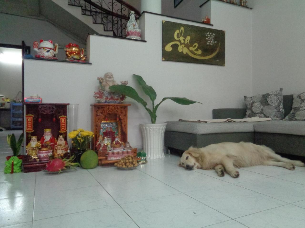 Ms Yang Homestay 2 - Home Cook Ho Si Minh-város Kültér fotó